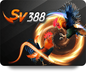 Dafabet Casino Đẳng Cấp: Trải Nghiệm Chơi Game Đỉnh Cao Nhất